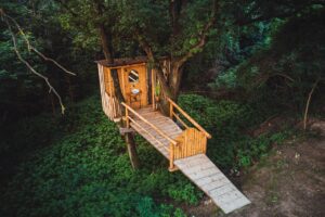 blog 1