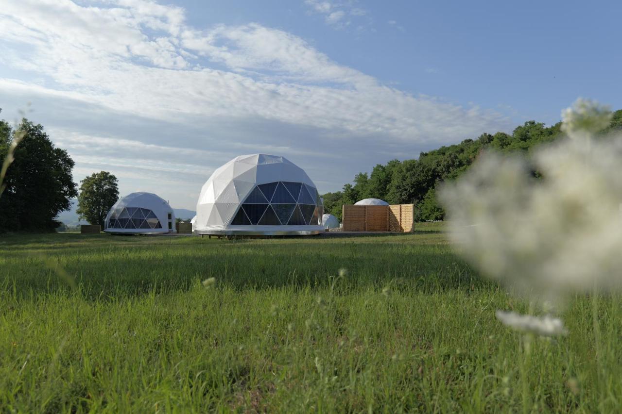 Glamping Resort 7