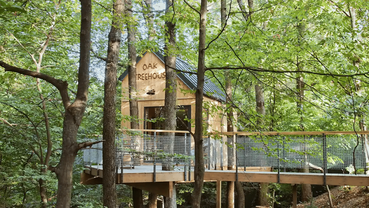 Oaktreehouse 7