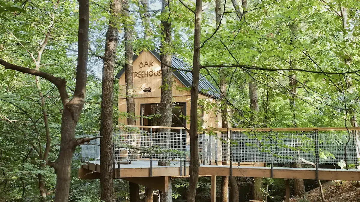 Oaktreehouse 5