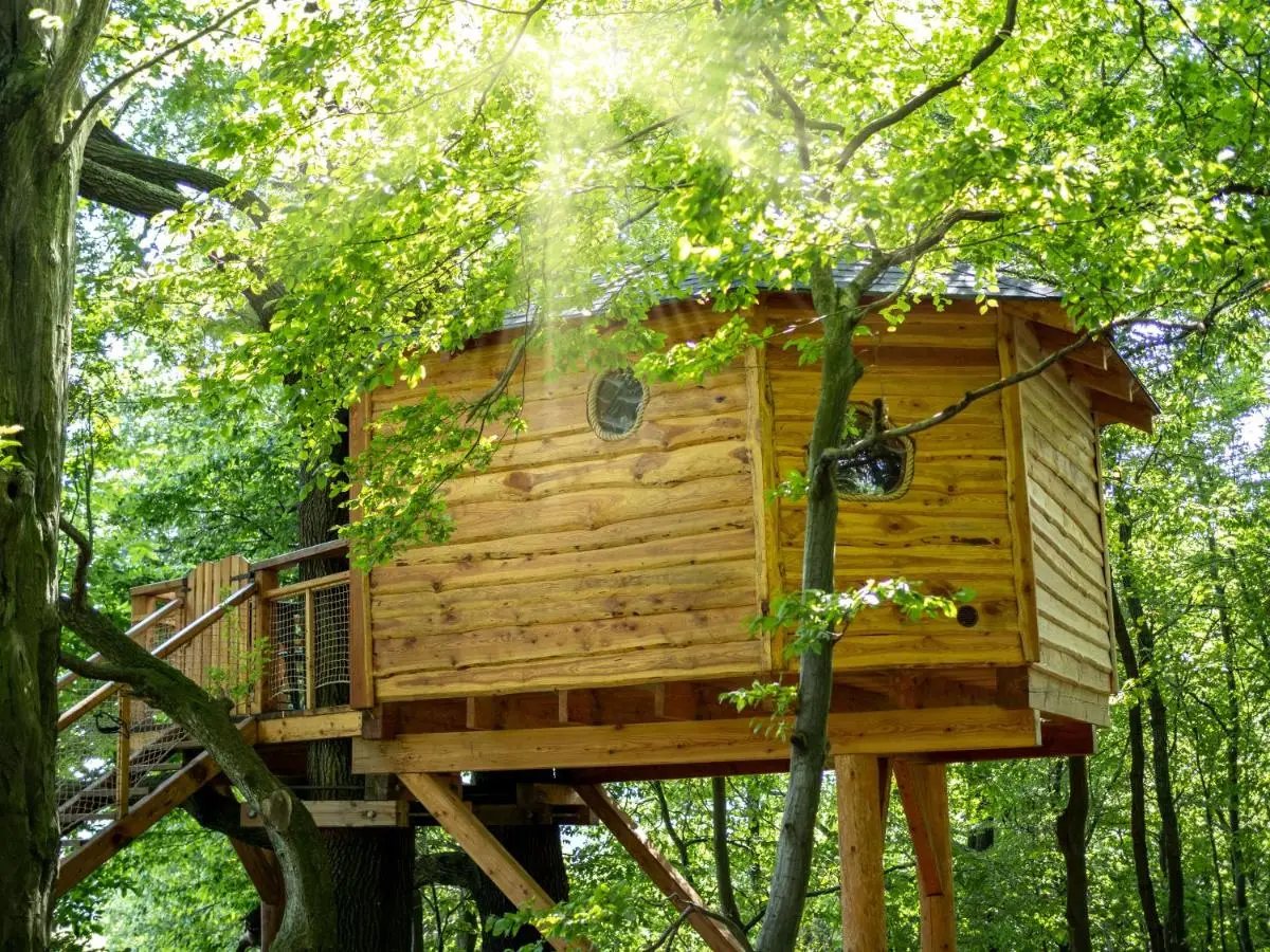 Stromodomek Vlčková 26