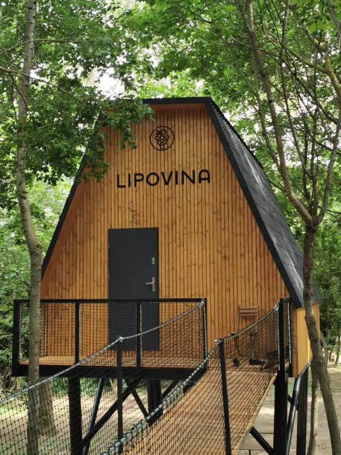 TREE-TOP VILLAGE 9